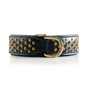 Hand Made black leather and brass dog collar