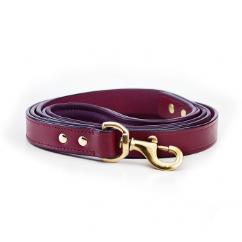 Cherry and brass dog leash