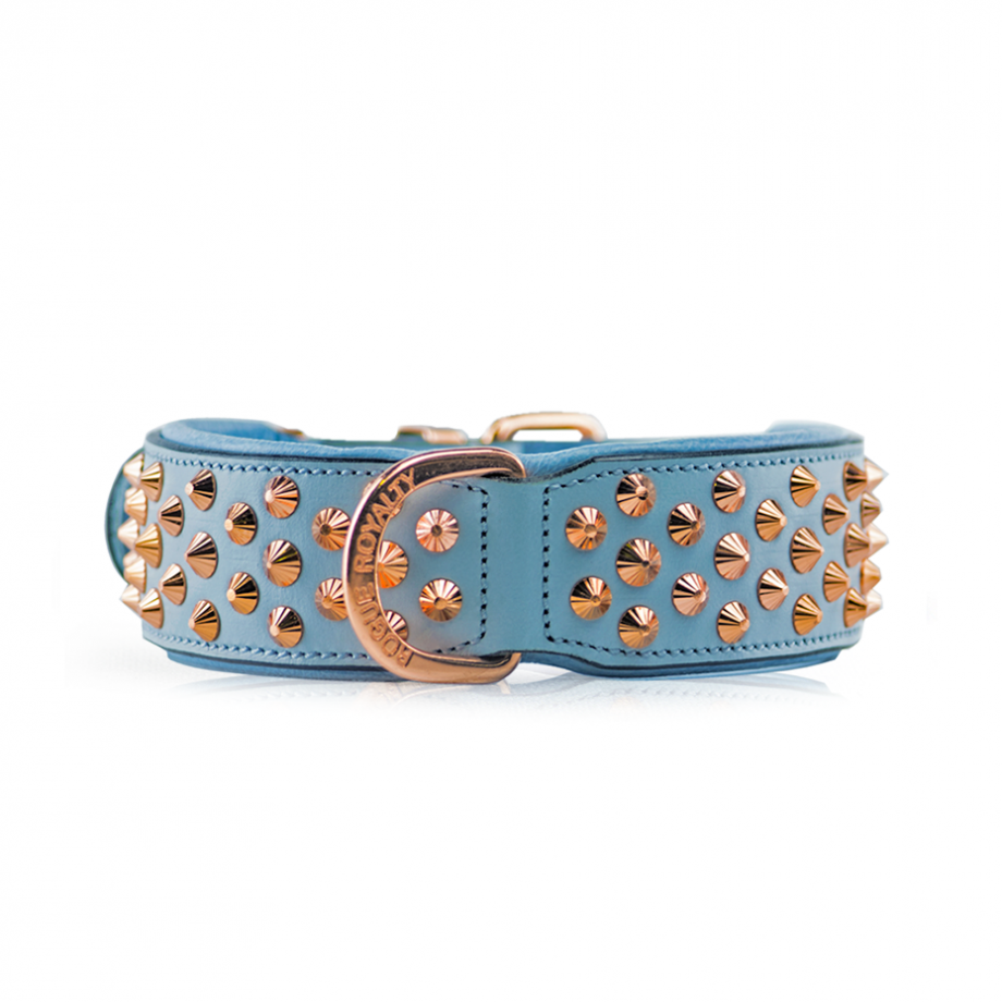 Baby blue leather dog collar with rose gold studs