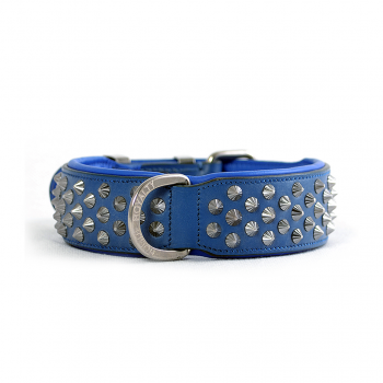 Blue studded leather collar