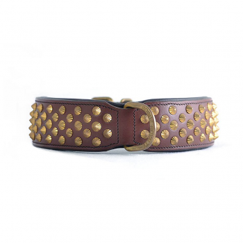 Ruthless handmade brass and leather dog collar